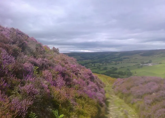 Barmoors Bed & Breakfast