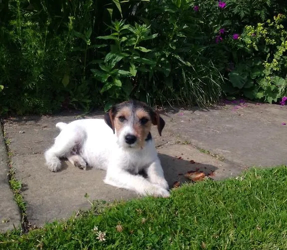 Barmoors Bed & Breakfast