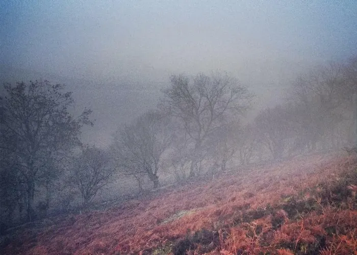 Barmoors Bed & Breakfast