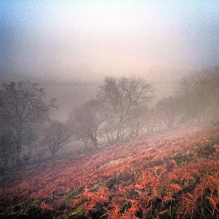 Barmoors Bed & Breakfast