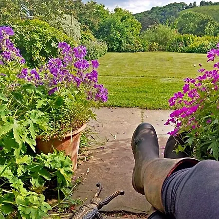 Barmoors Bed & Breakfast 3*