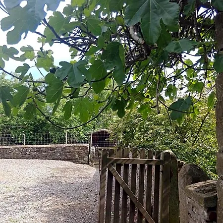 Barmoors