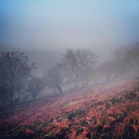 Barmoors Bed & Breakfast