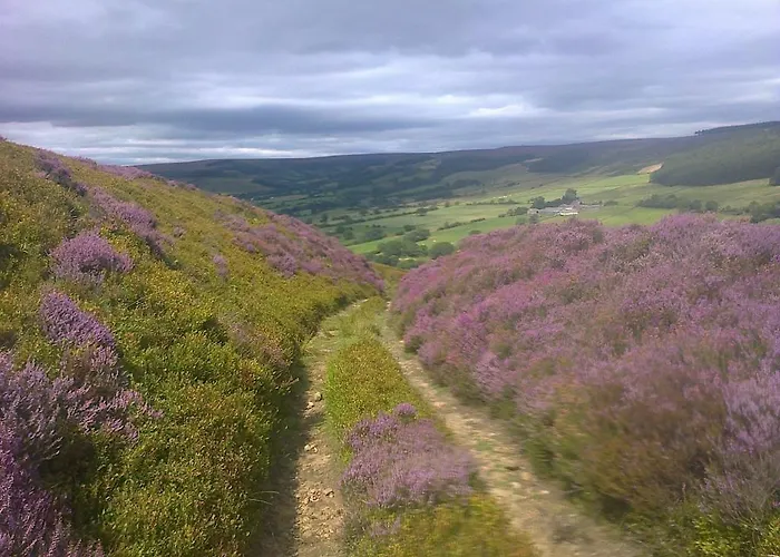 Bed & Breakfast Barmoors 3*