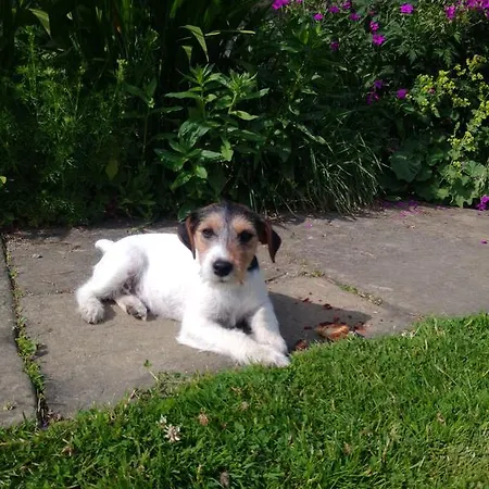 Barmoors Nocleg ze śniadaniem